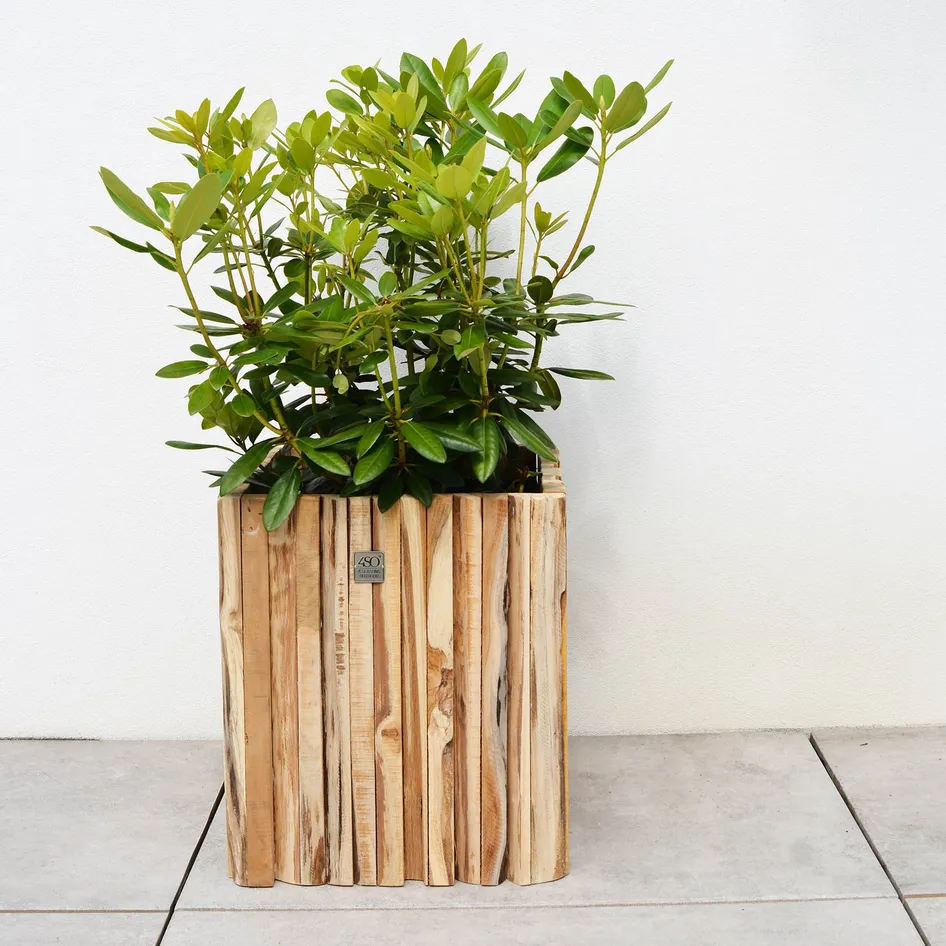 Miguel 0000 Miguel teak planter square