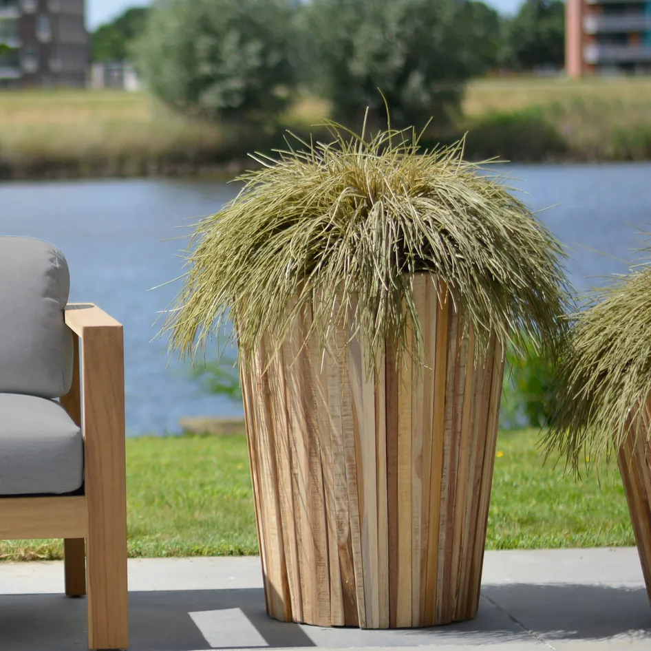 Miguel 0002 Miguel Lido arm