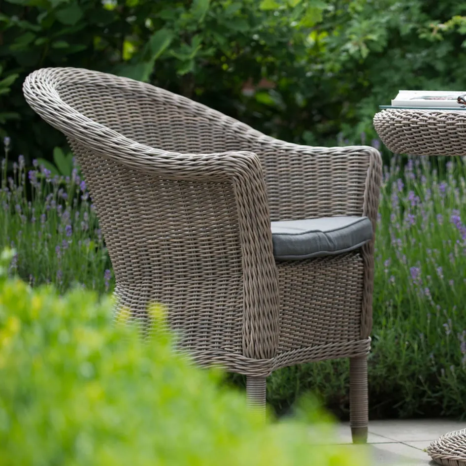 Chester 0002 Chester in Pure